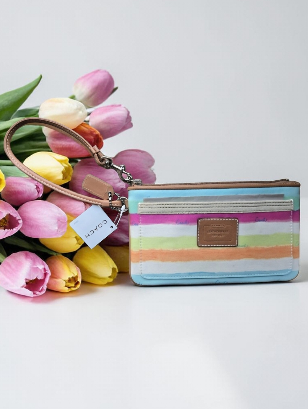 Coach Hampton WaterColor Stripe Large Wristlet